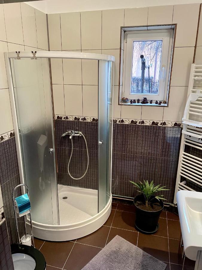 Mosaico Alfetta Hostel Timisoara Ngoại thất bức ảnh