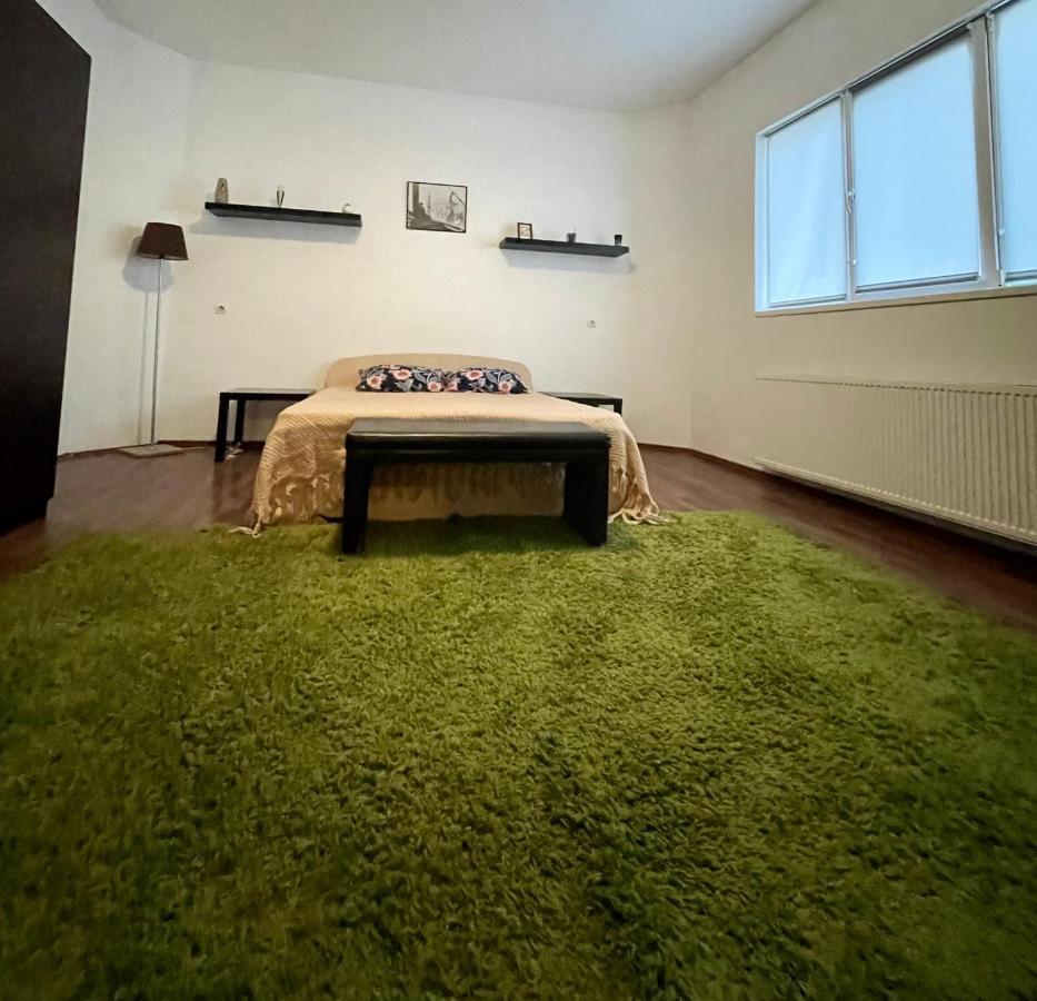 Mosaico Alfetta Hostel Timisoara Ngoại thất bức ảnh