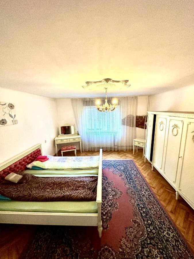 Mosaico Alfetta Hostel Timisoara Ngoại thất bức ảnh