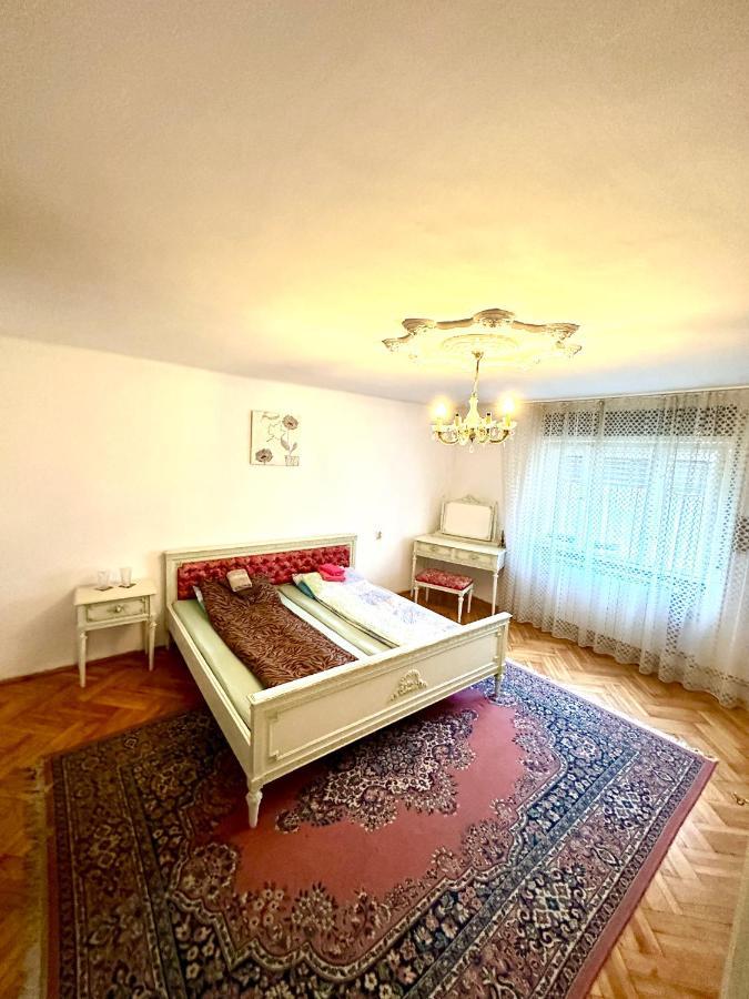 Mosaico Alfetta Hostel Timisoara Ngoại thất bức ảnh